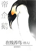 帝企鹅在线养鸟小说全文免费阅读